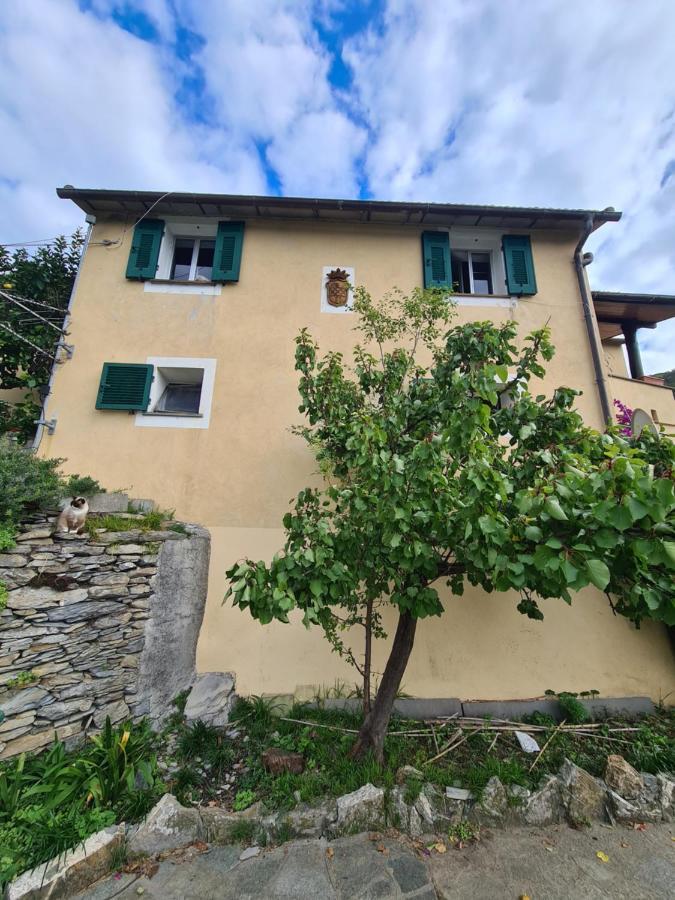 Castrusso Il Frantoio Di Rapallo By Portofinovacanze Exterior foto